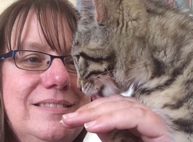 Helen from Kernow Kitties at home being licked on the hand by a silver tabby cat.